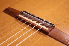 Bogusław Teryks [ボグスワフ・テリクス] Concert Op.71_9