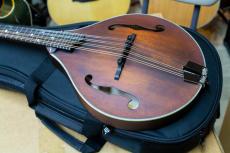 Eastman MD-305 with PU アンプに繋げる マンドリン イーストマン MD305 mandolin