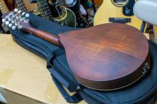 Eastman MD-305 with PU アンプに繋げる マンドリン イーストマン MD305 mandolin_2