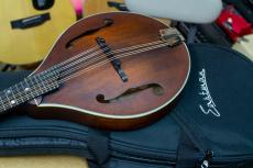 Eastman MD-305 with PU アンプに繋げる マンドリン イーストマン MD305 mandolin_3