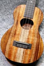 KoAloha  KCM-00 【コンサート】【魅惑のカーリー個体】【現物写真】【2026年製】【池袋店在庫品】