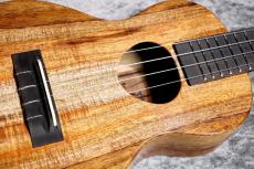 KoAloha  KCM-00 【コンサート】【魅惑のカーリー個体】【現物写真】【2026年製】【池袋店在庫品】_3