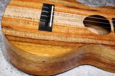 KoAloha  KCM-00 【コンサート】【魅惑のカーリー個体】【現物写真】【2026年製】【池袋店在庫品】_4