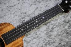 KoAloha  KCM-00 【コンサート】【魅惑のカーリー個体】【現物写真】【2026年製】【池袋店在庫品】_9