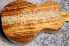 KoAloha  KCM-00 【コンサート】【魅惑のカーリー個体】【現物写真】【2026年製】【池袋店在庫品】_11