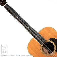 Martin D-35_5
