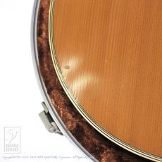 Martin D-35_12