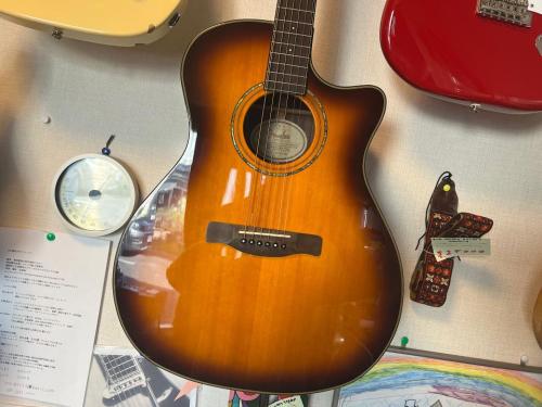Fender GA-45SCE