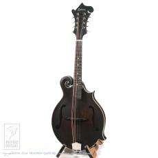 Eastman MD-315_2