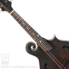 Eastman MD-315_5