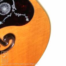 Gibson J-200 Rose Montana Special_13