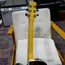 Sadowsky Jim Hall Model Jacaranda_9