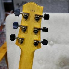 Sadowsky Jim Hall Model Jacaranda_10