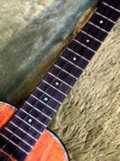 Kamaka HF-3D2I Tenor Deluxe 【2024年製】【テナー・デラックス】【ピックアップ搭載】【24回金利0%対象】【送料込】_7