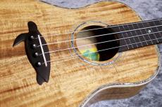 Big Island KX-TRG #240119【テナー】【ハワイアンコア単板】【選定品】【池袋店在庫品】_3