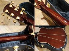 Shelly SYM-D50M-SP._9