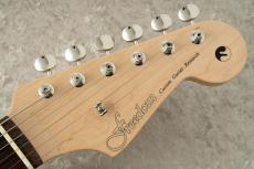 FREEDOM CUSTOM GUITAR RESEARCH Custom Order RS ST SSS Alder -Black-_5