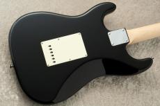 FREEDOM CUSTOM GUITAR RESEARCH Custom Order RS ST SSS Alder -Black-_7