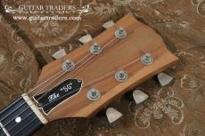 Gibson 1979 The SG_4