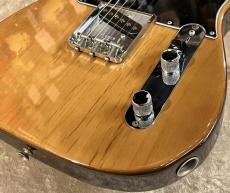 Fender 【Vintage】Telecaster Walnut 1973-4年製 [3.65kg]【G-Club Tokyo】_7
