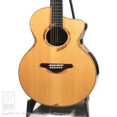 SUGITA KENJI DOLPHIN l Custom