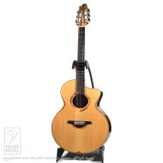 SUGITA KENJI DOLPHIN l Custom_2