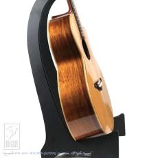 SUGITA KENJI DOLPHIN l Custom_3