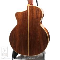 SUGITA KENJI DOLPHIN l Custom_4