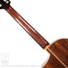 SUGITA KENJI DOLPHIN l Custom_6