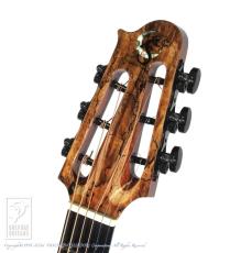 SUGITA KENJI DOLPHIN l Custom_7