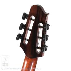 SUGITA KENJI DOLPHIN l Custom_8