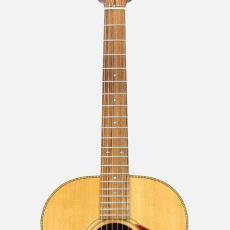 Voyager Guitar Voyager Guitar_6