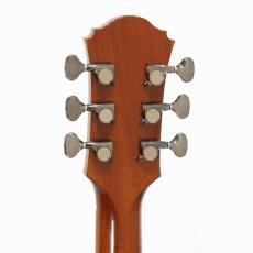 Voyager Guitar Voyager Guitar_8