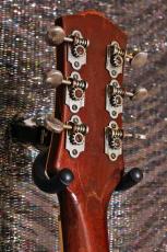 Gretsch #6129 シルバー・ジェット　/　プレイヤーズ・コンディション_6