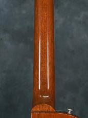 Gibson Les Paul Standard 50s P-90 Gold Top_13