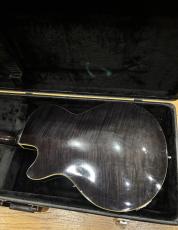 Duesenberg Starplayer TV 2006_3