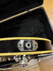 Duesenberg Starplayer TV 2006_7
