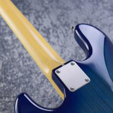 FUJIGEN NJB100MBAH - See-Thru Blue Burst -【4.64g】【#J240077】_7