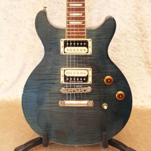 Gibson Les Paul Standard DC Plus