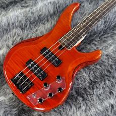 YAMAHA TRBX604FM CMB_2