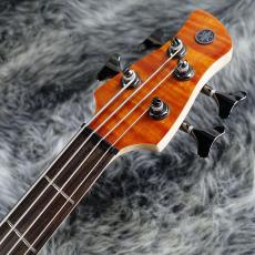 YAMAHA TRBX604FM CMB_4