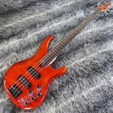 YAMAHA TRBX604FM CMB_5