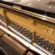 YAMAHA 1984年製　U3A【YAMAHA】【USED】_5