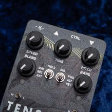 Red Panda Tensor_2