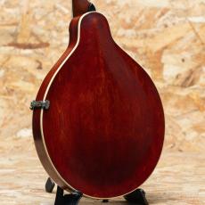 Gibson A-4 1915_2