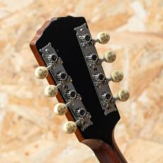 Gibson A-4 1915_9