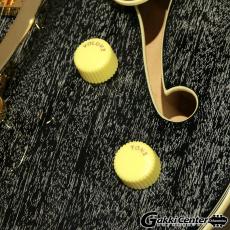 D'Angelico Excel Series Excel 59 Shield Tremolo, Black Dog_9