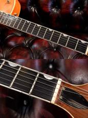 Gretsch 6120 Chet Atkins 1959年製_5