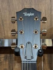 Taylor 【当店カスタムオーダー品】CTM 324ce  All Mahogany_6
