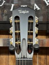 Taylor 【当店カスタムオーダー品】CTM 322ce 12F All Maho_6